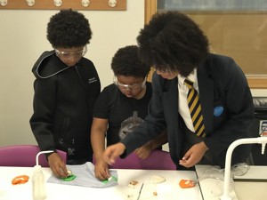 St mary magdalene academy islington secondary school london visitors get involved in science demonstrations at open evening admissions 2019